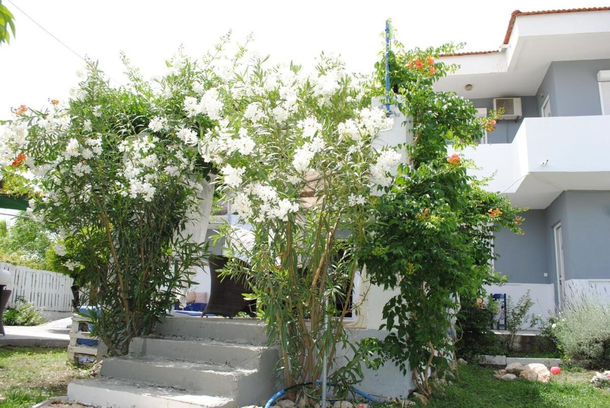 Karmik Concept Apartments Afantou Extérieur photo